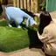 みんみんのプロフィール画像