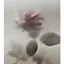 Naoのプロフィール画像