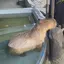 なつのプロフィール画像