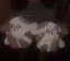 椎木のプロフィール画像