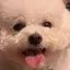 いちじくのプロフィール画像