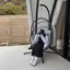ちさのプロフィール画像