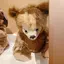 たまごのプロフィール画像