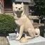 健のプロフィール画像