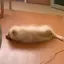 美羽のプロフィール画像