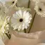 mmのプロフィール画像