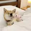 まぁのプロフィール画像
