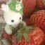 ささみのプロフィール画像