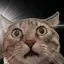 よーいちのプロフィール画像