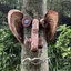 Jのプロフィール画像