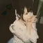 ずのプロフィール画像