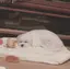 AOIのプロフィール画像