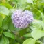 鈴花のプロフィール画像
