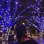 Aliceのプロフィール画像
