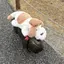 ヒンのプロフィール画像