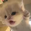 あいかのプロフィール画像