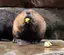 もえのプロフィール画像