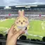 プルャのプロフィール画像