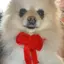 kのプロフィール画像