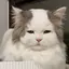 らりるのプロフィール画像