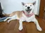 まりのプロフィール画像