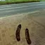 ララのプロフィール画像