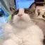すみれのプロフィール画像