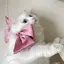 ktのプロフィール画像