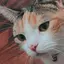 悪玉菌のプロフィール画像