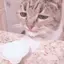 ななのプロフィール画像