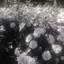 yuのプロフィール画像