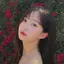 ちゃしのプロフィール画像