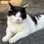 えりんぎのプロフィール画像