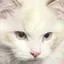 まちゃこのプロフィール画像
