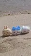 さくらのプロフィール画像