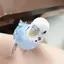 sayaのプロフィール画像