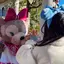 ちーのプロフィール画像