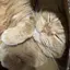 綾のプロフィール画像