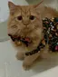 るのプロフィール画像