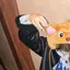 ぎゃんたのプロフィール画像