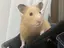 みづきのプロフィール画像