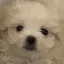 mのプロフィール画像