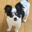 Mikaのプロフィール画像