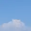 aoのプロフィール画像