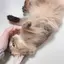のんのプロフィール画像