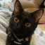 mihoのプロフィール画像