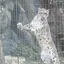 キーのプロフィール画像