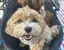 れおのプロフィール画像
