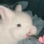 ♡のプロフィール画像