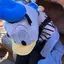 ゆのプロフィール画像